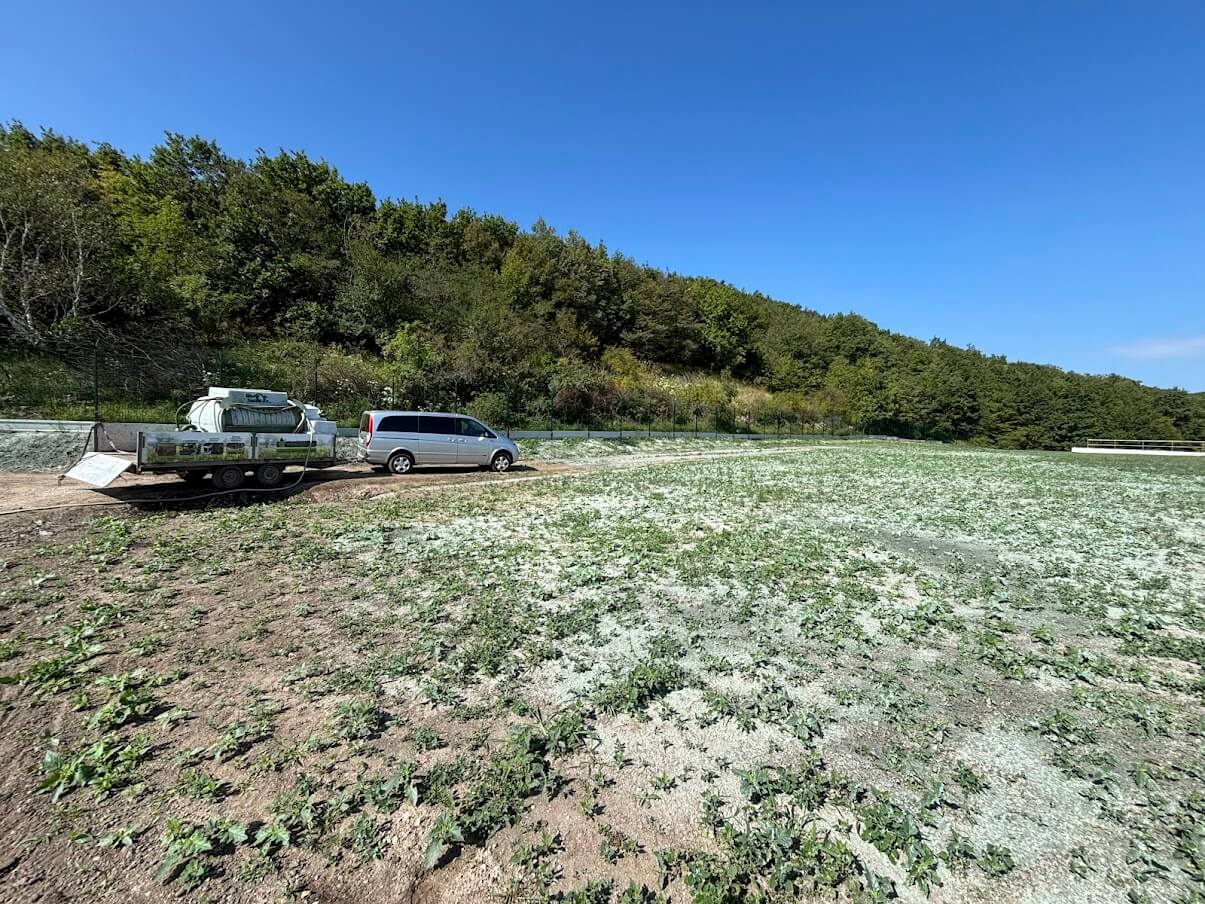 Hydroosev a spevňovanie svahu